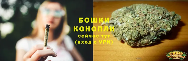 наркошоп  Орёл  Бошки марихуана OG Kush 